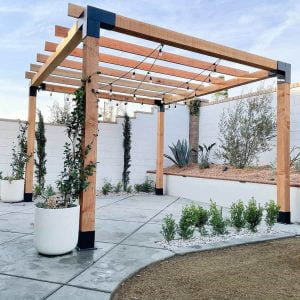 Pergola-bois-tunisie